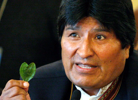 coca-hoja,jpg.jpg coca-hoja,jpg.jpg