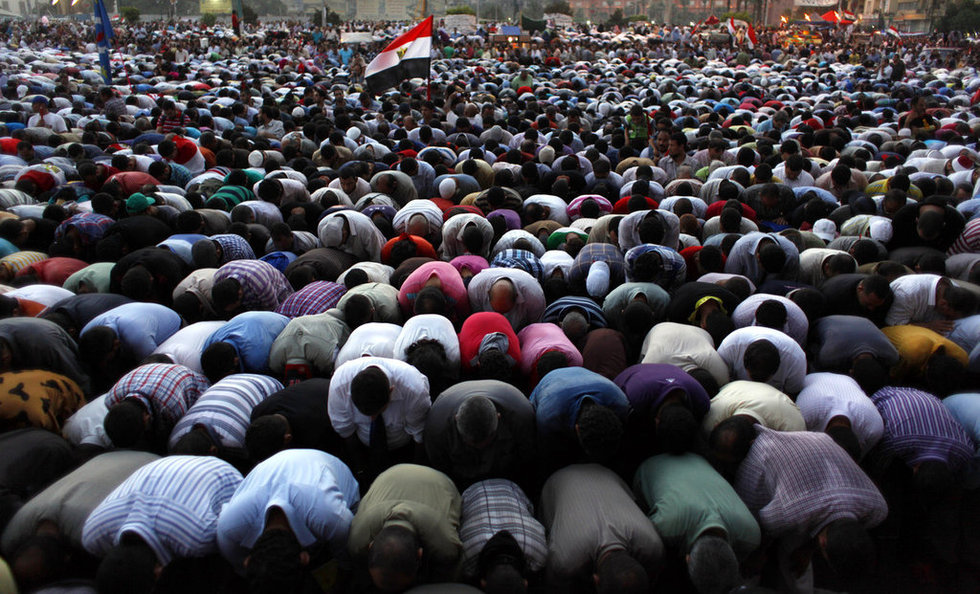 rdn_4fe14cc85d75c.jpg
